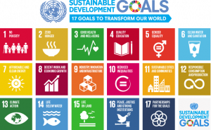 Sustainable Development Goals launch in 2016